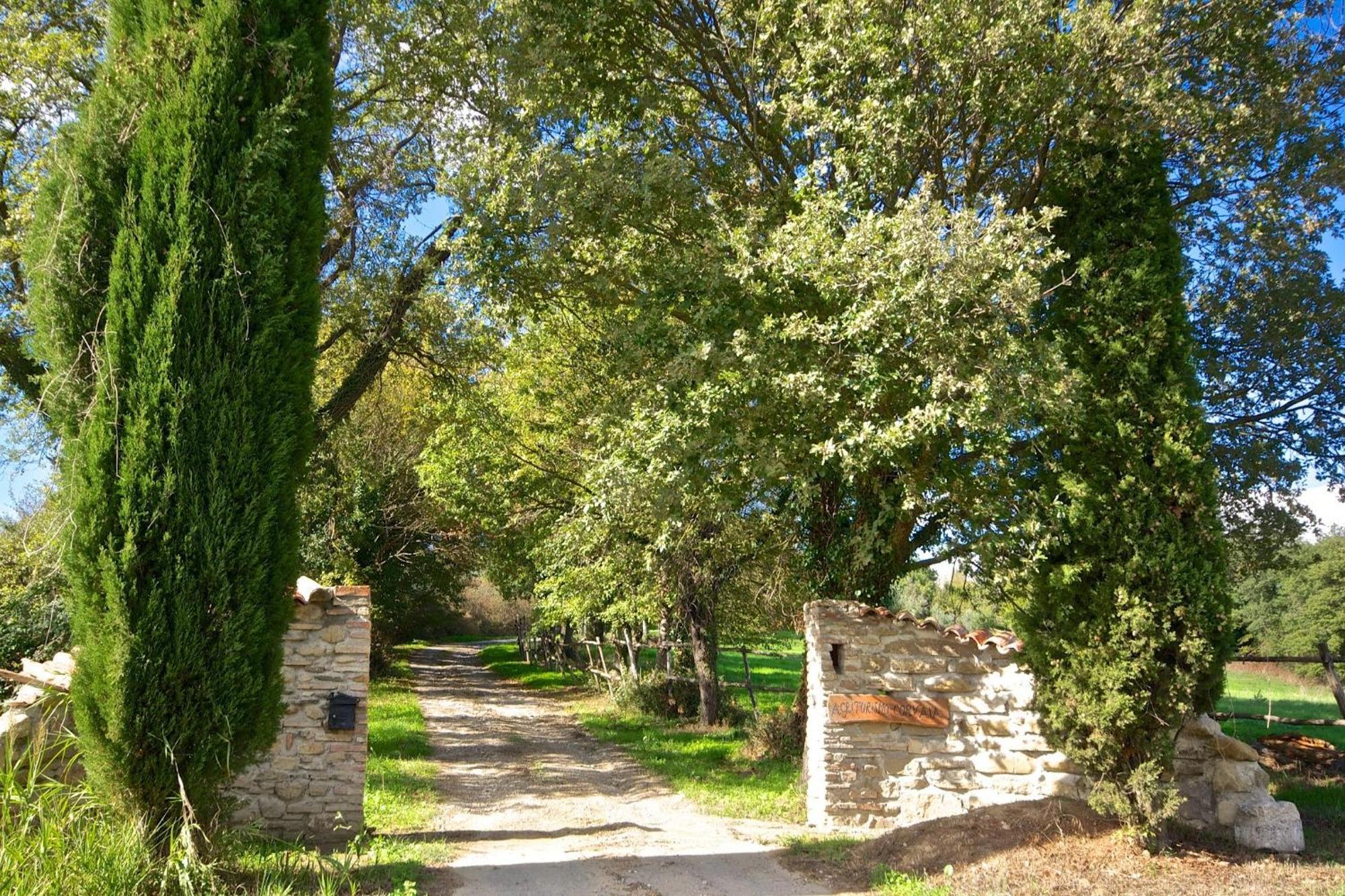 Agriturismo Corvaia Radicofani Kültér fotó