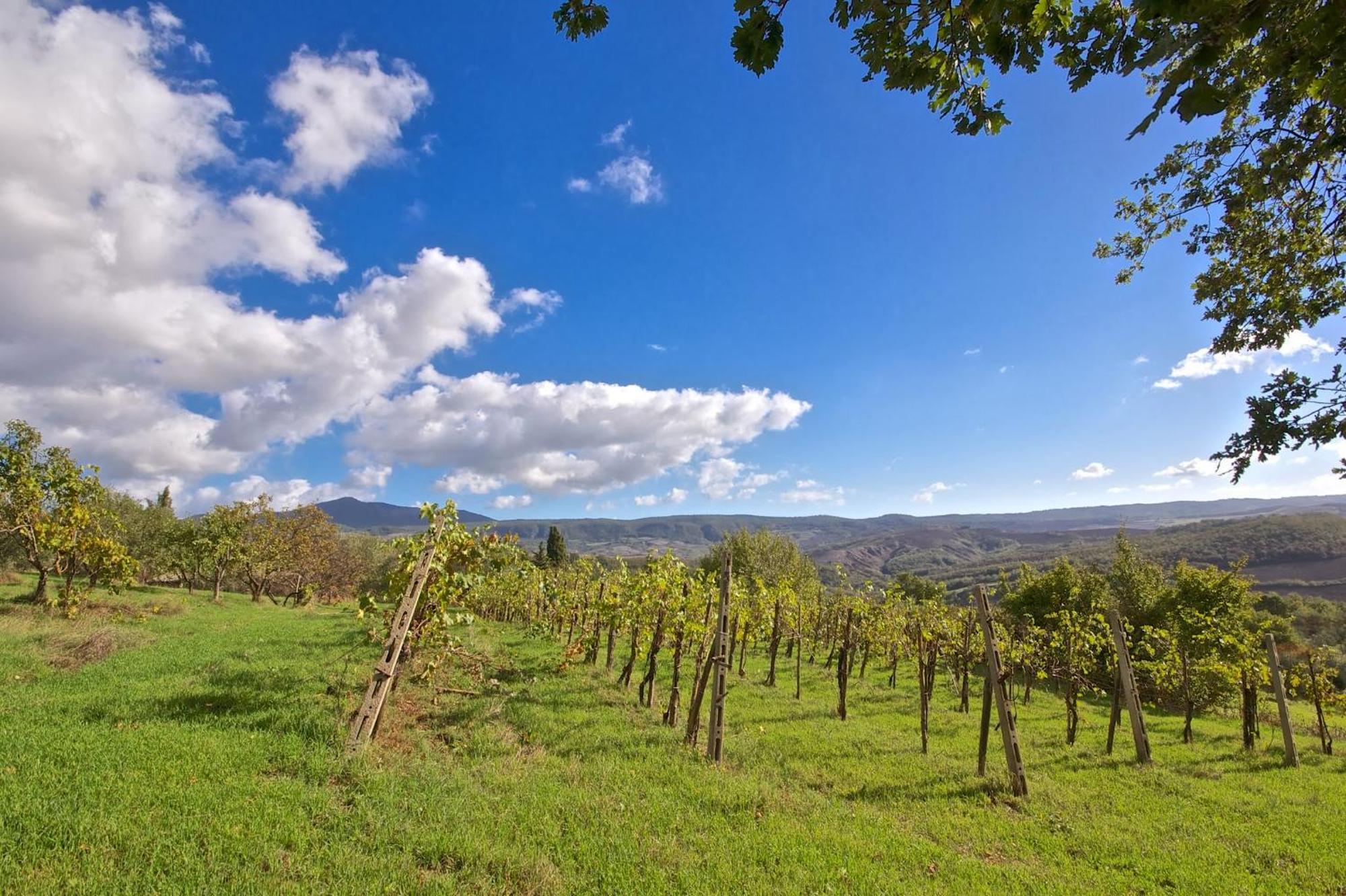 Agriturismo Corvaia Radicofani Kültér fotó
