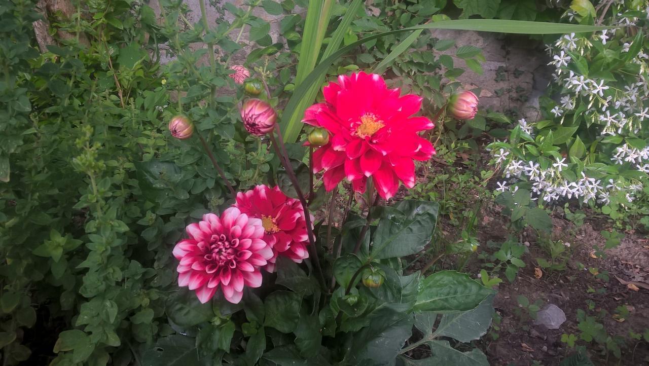 Agriturismo Corvaia Radicofani Kültér fotó
