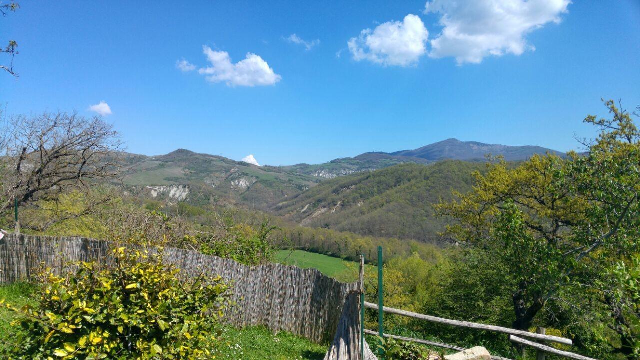 Agriturismo Corvaia Radicofani Kültér fotó